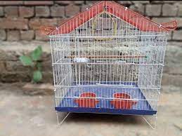 Birds Fancy Cage VIP Quality Medium size