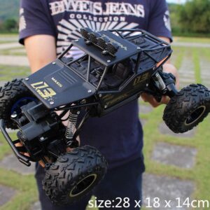 Team Maxis 03 rechargeable RC Car buggy black